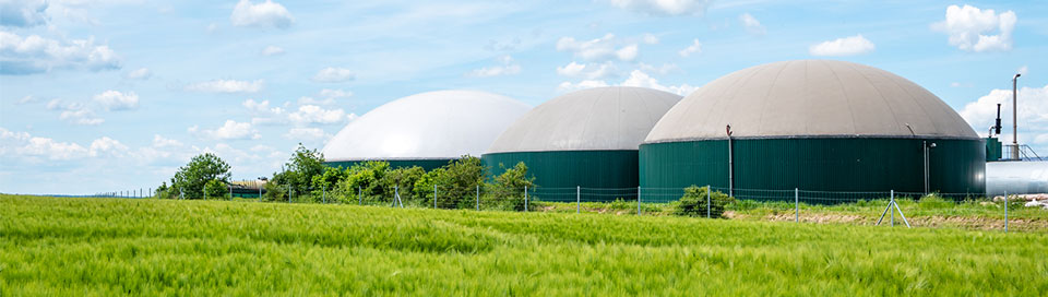 zenzo biogasanlaeg og bioposer top