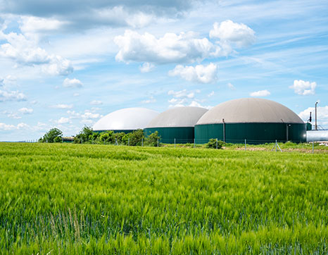 Hvorfor er bioposer interessante, når vi taler om biogas?